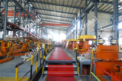 barite flotation plant
